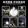 缩略图 8