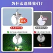 缩略图 9