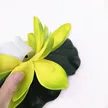 缩略图 3
