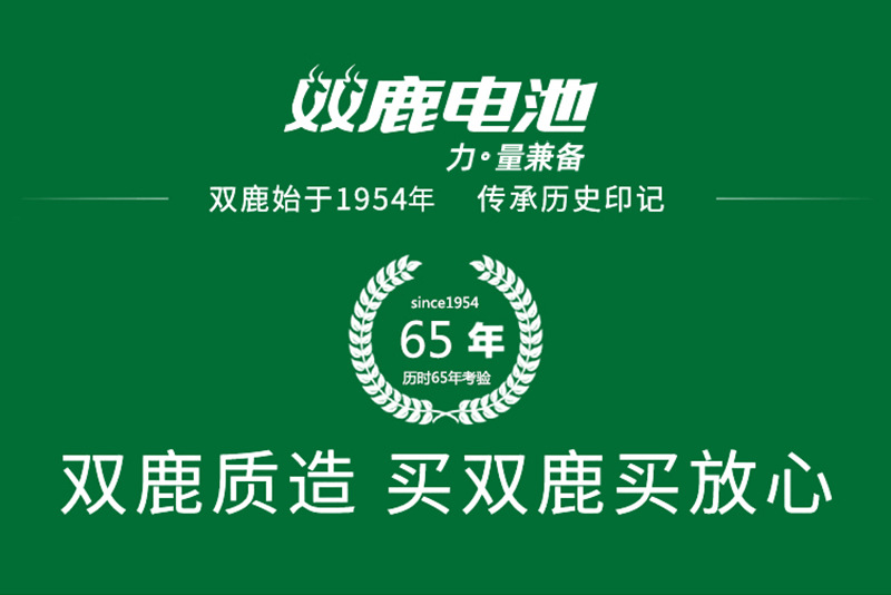 双鹿7号电子锁_01.jpg