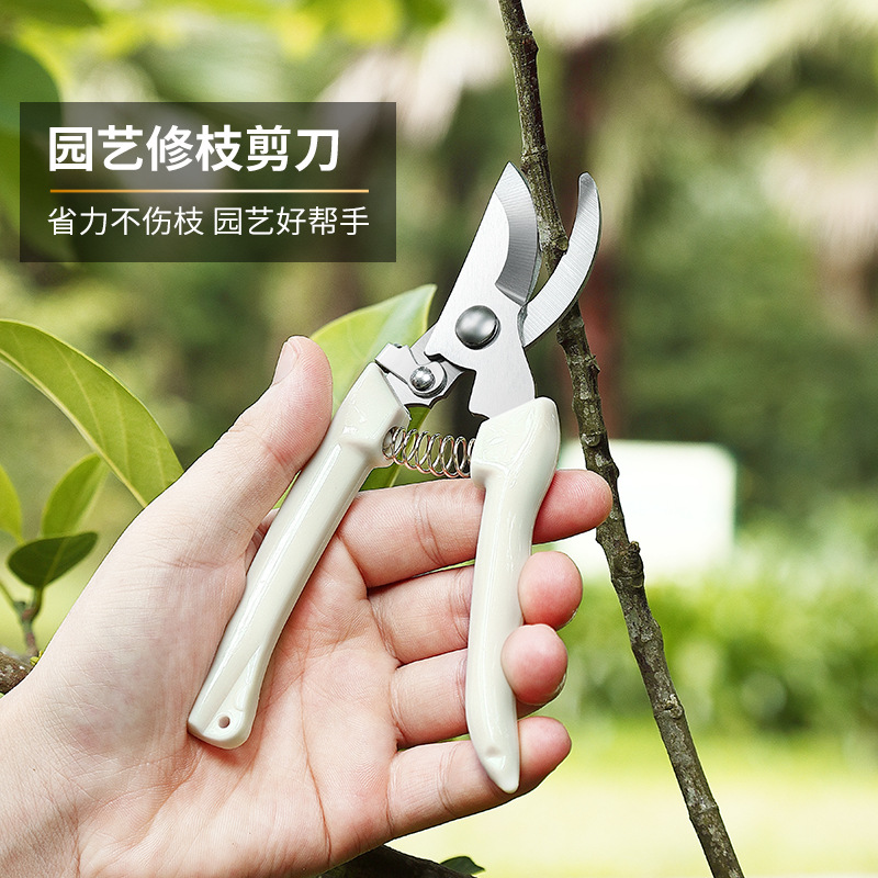 修枝剪全套园艺剪园林弯头花园剪刀摘果剪弹簧手动工具剪刀批发详情2