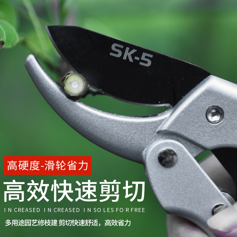 修枝剪刀滑轮剪花剪园艺剪刀修剪树枝剪刀果树剪刀花枝园林粗枝剪详情3