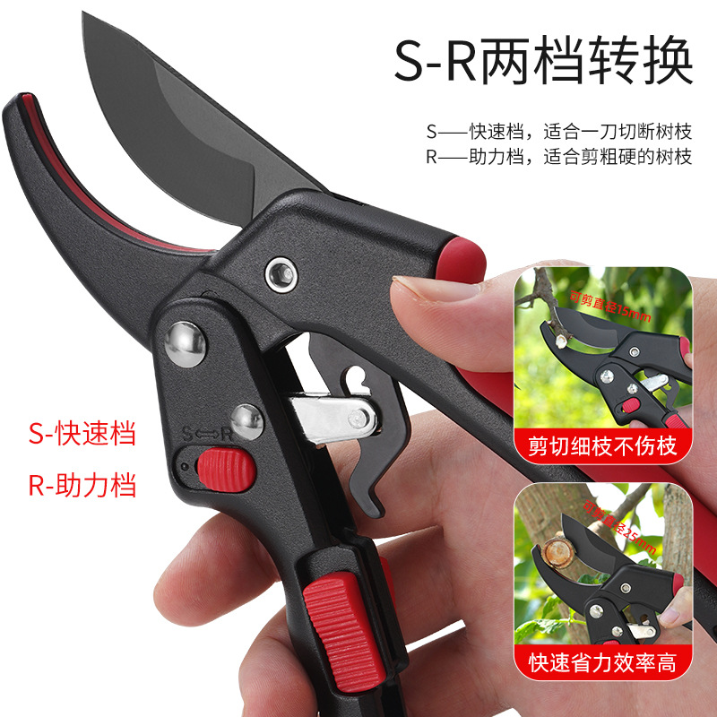 果树修枝剪树枝专用花艺花卉枝剪子剪枝园林工具花剪修剪园艺剪刀详情4