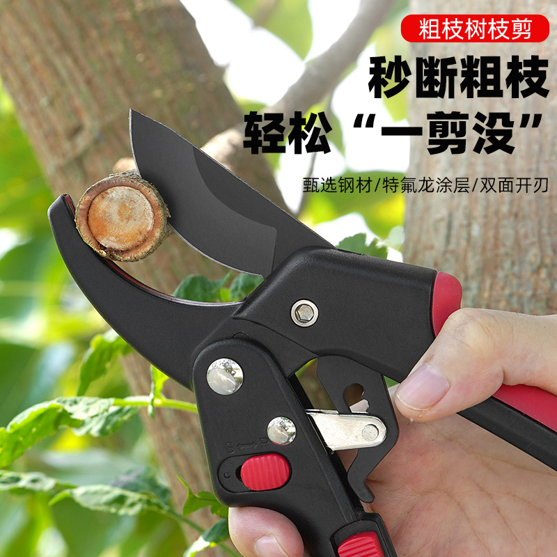 果树修枝剪树枝专用花艺花卉枝剪子剪枝园林工具花剪修剪园艺剪刀详情1