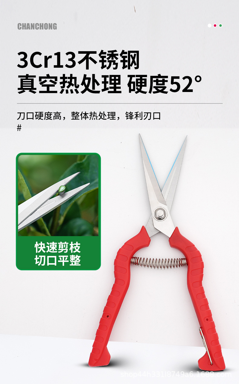 蟾虫805采果剪不锈钢剪刀葡萄剪稀果剪花剪园艺剪刀修枝剪果树修详情3