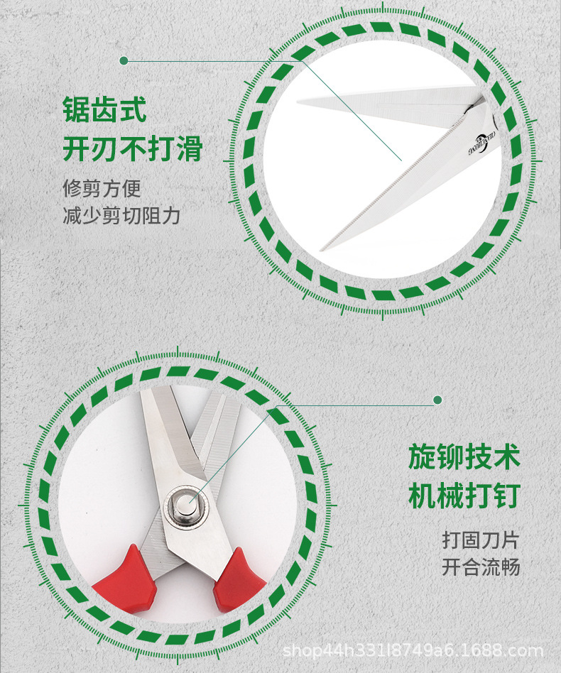蟾虫805采果剪不锈钢剪刀葡萄剪稀果剪花剪园艺剪刀修枝剪果树修详情9