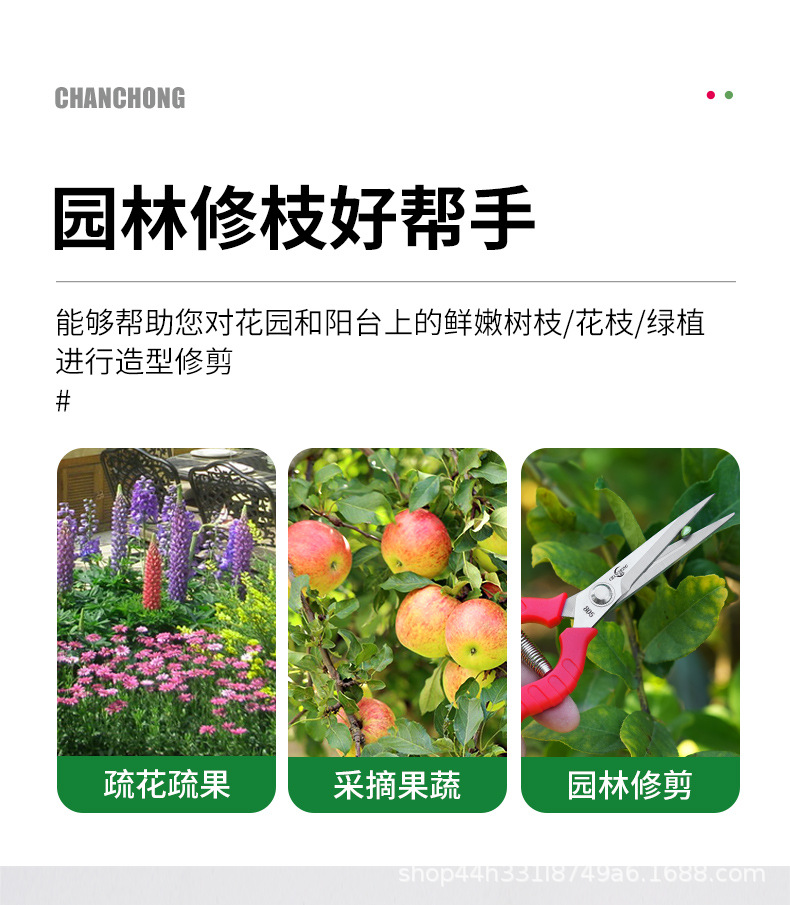 蟾虫805采果剪不锈钢剪刀葡萄剪稀果剪花剪园艺剪刀修枝剪果树修详情2