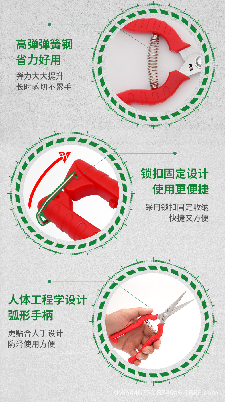 蟾虫805采果剪不锈钢剪刀葡萄剪稀果剪花剪园艺剪刀修枝剪果树修详情10