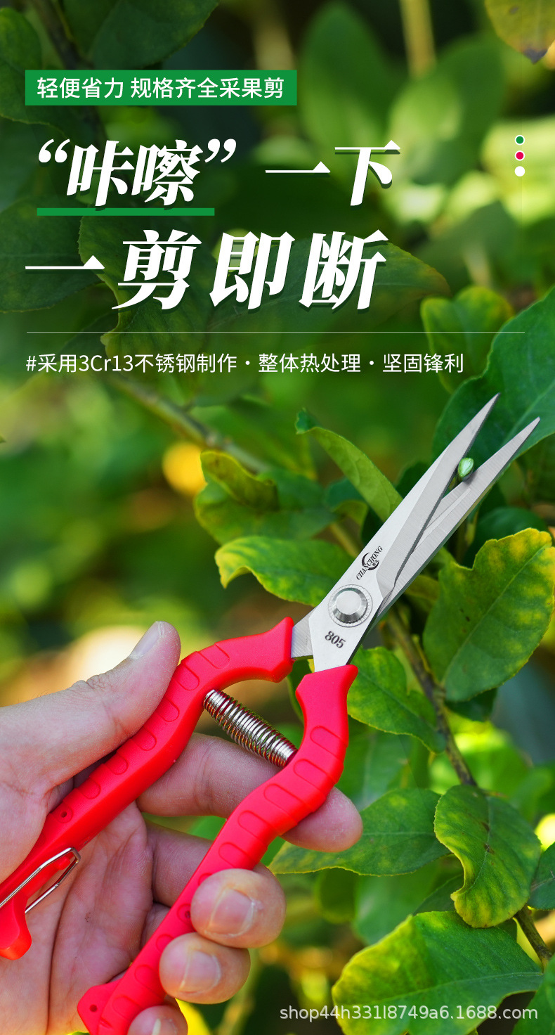 蟾虫805采果剪不锈钢剪刀葡萄剪稀果剪花剪园艺剪刀修枝剪果树修详情11