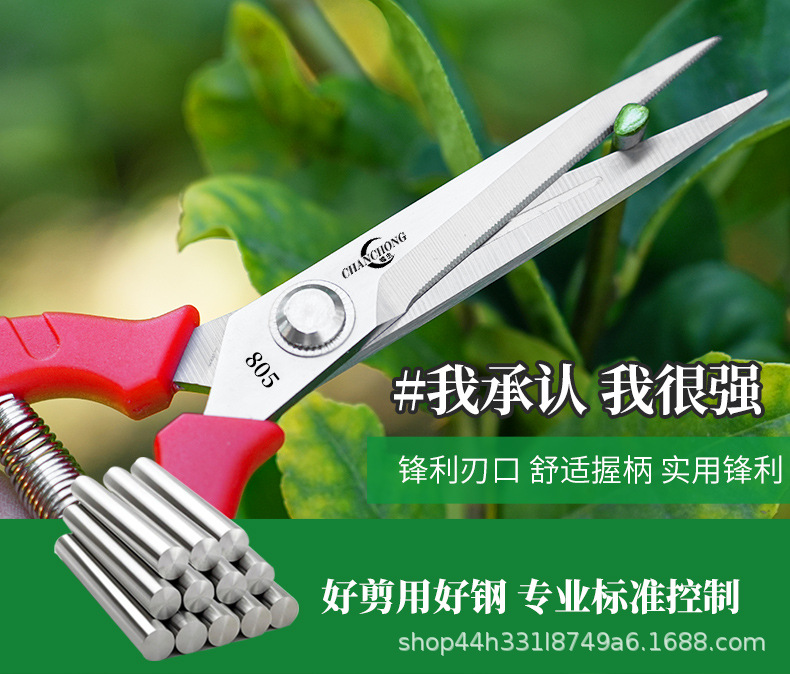 蟾虫805采果剪不锈钢剪刀葡萄剪稀果剪花剪园艺剪刀修枝剪果树修详情12