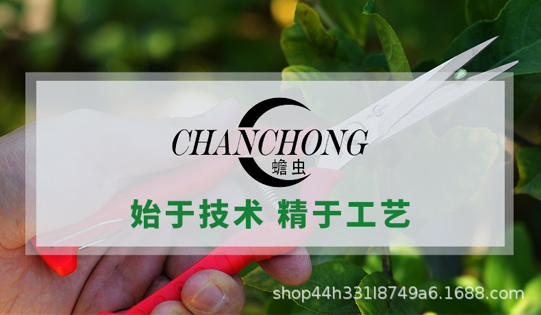 蟾虫805采果剪不锈钢剪刀葡萄剪稀果剪花剪园艺剪刀修枝剪果树修详情1