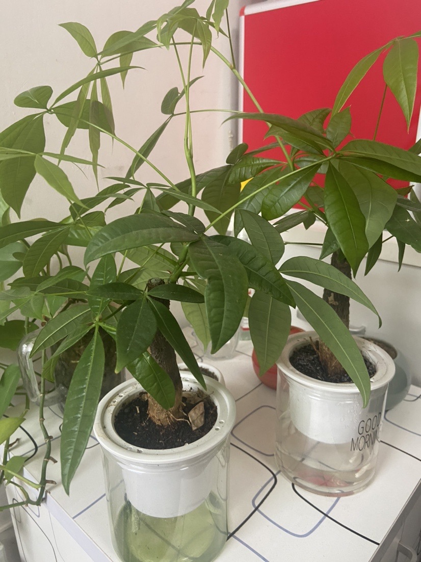 ll不锈钢钢尺直尺加厚钢板尺刻度尺子测量铁尺高精度1.2/1.5/1米详情9