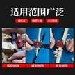 缩略图 5
