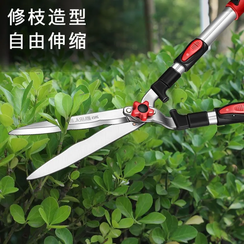 主图 1