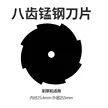 缩略图 1
