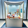 缩略图 2