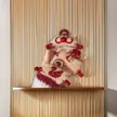 缩略图 4