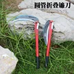 缩略图 1