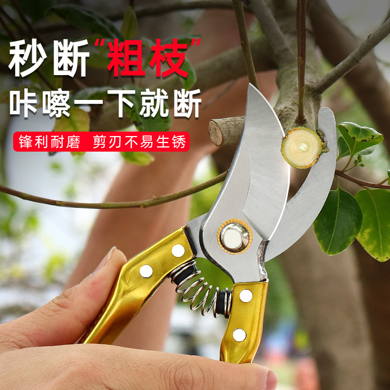 园林修枝剪花卉剪枝剪刀果树剪子修剪树枝剪刀强力修花剪园艺剪刀详情3