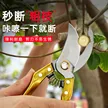 缩略图 3