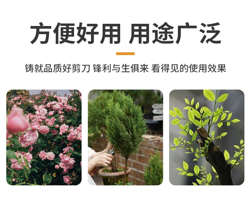 绿化嫁接园林园艺剪刀家用果树剪刀修枝神器剪花卉摘果剪树枝剪刀详情4