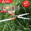 缩略图 1