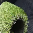 缩略图 4