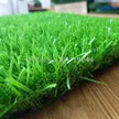 缩略图 4