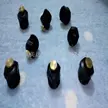 缩略图 2