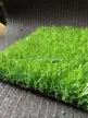 缩略图 2