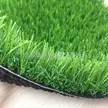 缩略图 4