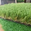 缩略图 2