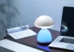 缩略图 2