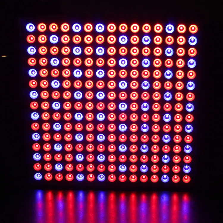 主图 1