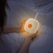 缩略图 2