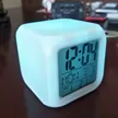缩略图 5