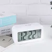 缩略图 2