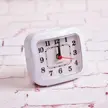 缩略图 5