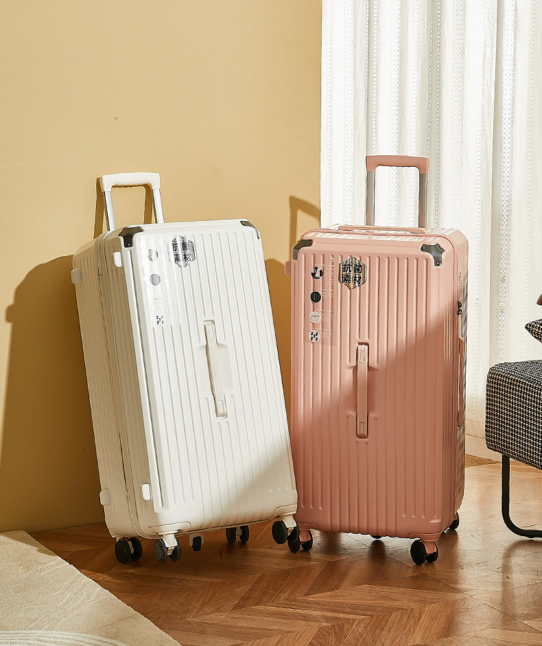 8ff09231-97eb-4cf0-a93d-5c21950cf5cf.jpe