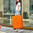缩略图 5