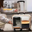 缩略图 1