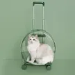 缩略图 1