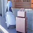 缩略图 3
