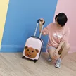 缩略图 1