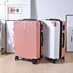 缩略图 2