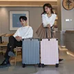 缩略图 5