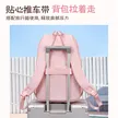 缩略图 3