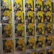 缩略图 6