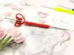 缩略图 5