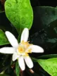 缩略图 1